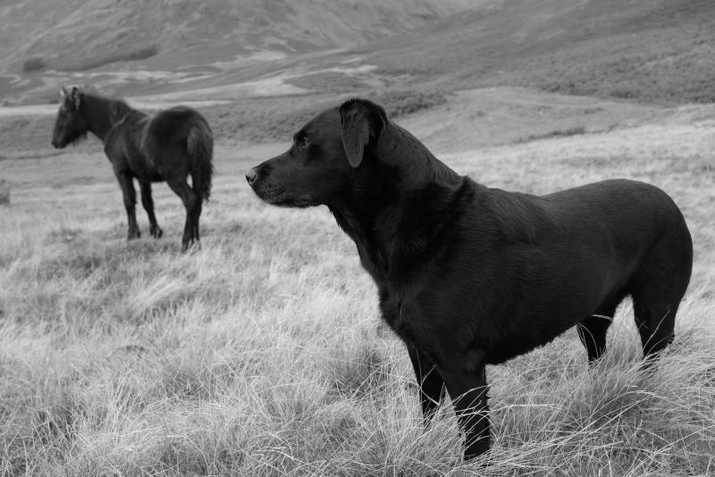 post-219764-0-48984700-1447920570_thumb.