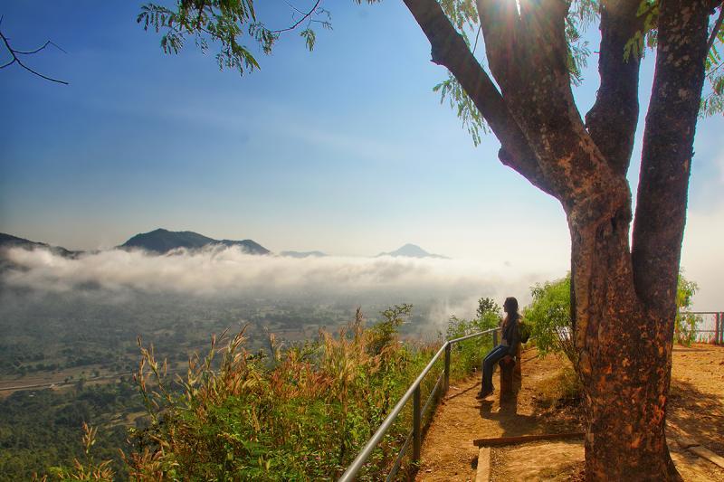 post-228573-0-06414700-1446454068_thumb.