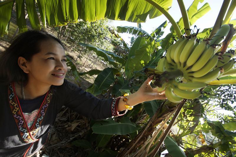 post-228573-0-10833900-1446787508_thumb.