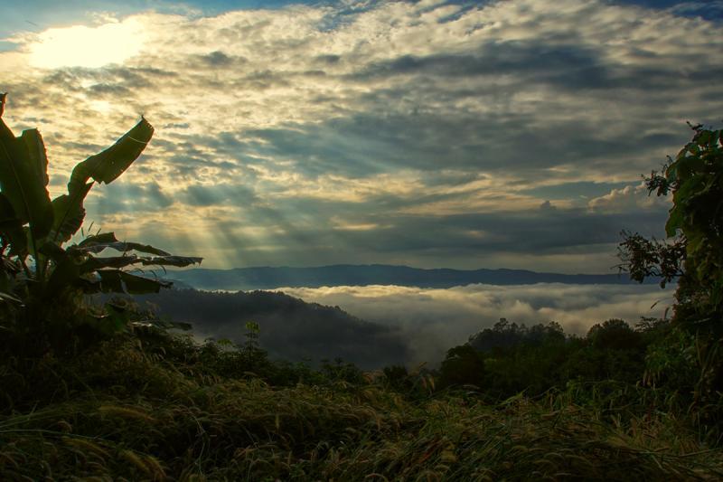 post-228573-0-11312200-1447596858_thumb.