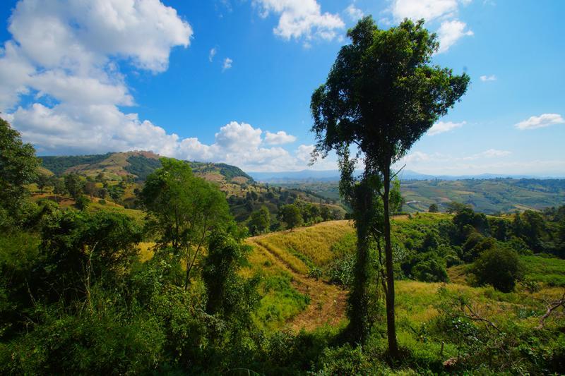 post-228573-0-11511100-1448893585_thumb.