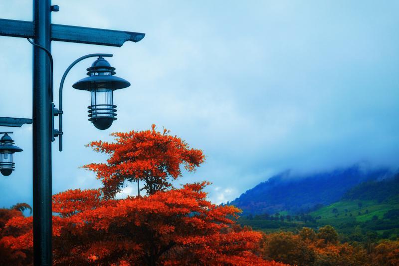 post-228573-0-20289200-1446454558_thumb.