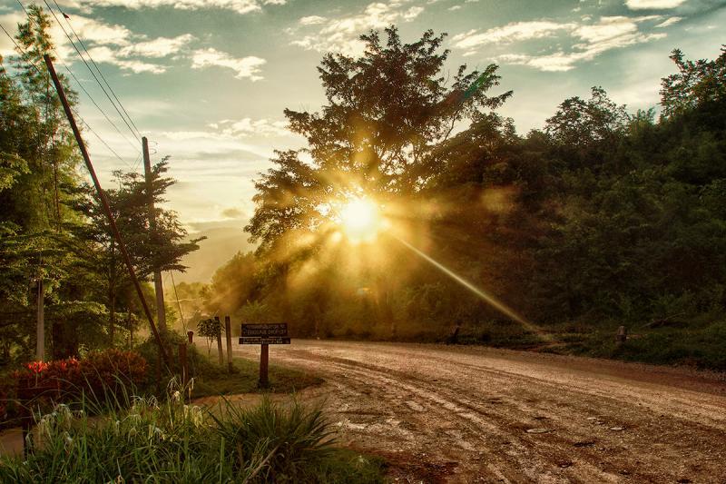 post-228573-0-23603000-1446382965_thumb.