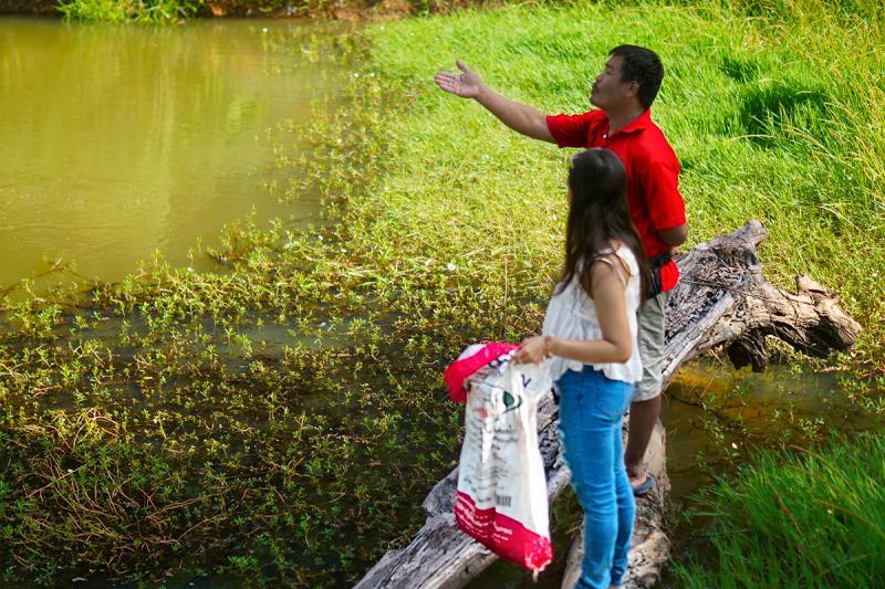 post-228573-0-25664200-1447075286_thumb.