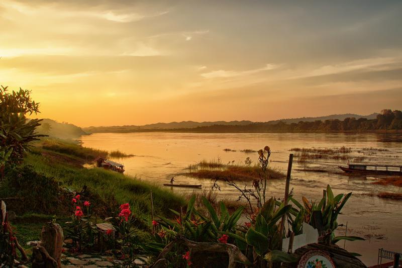 post-228573-0-32254500-1446461898_thumb.