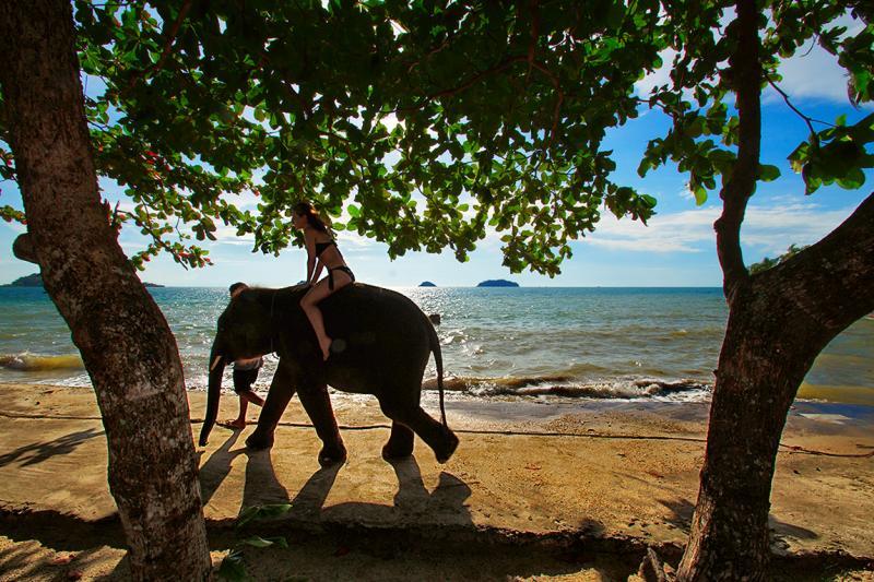 post-228573-0-36776600-1446382514_thumb.