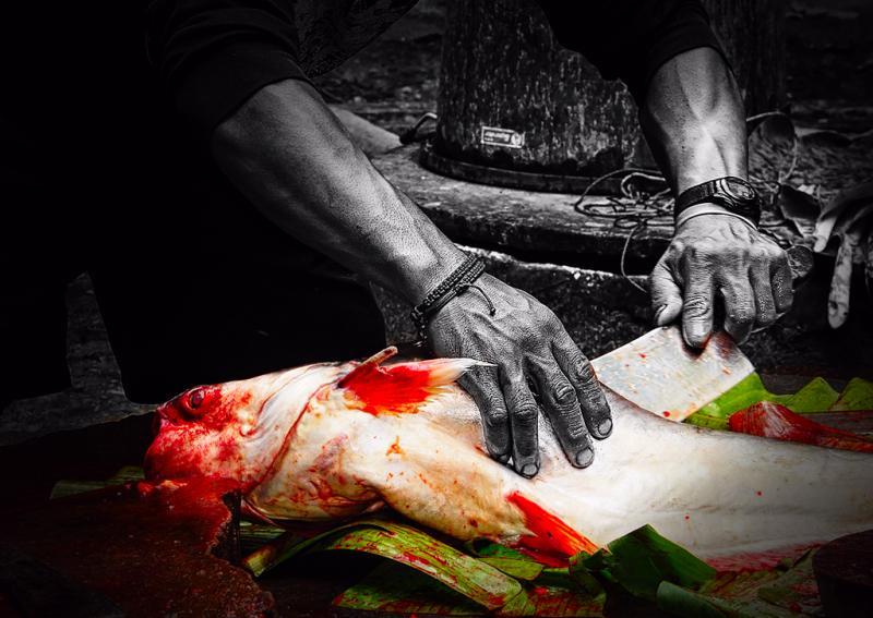 post-228573-0-37813600-1447941629_thumb.