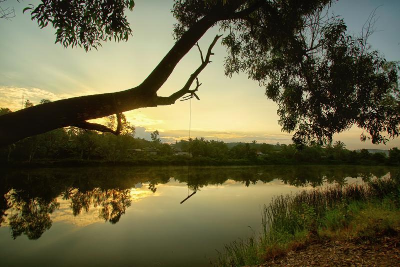 post-228573-0-78617200-1447596576_thumb.