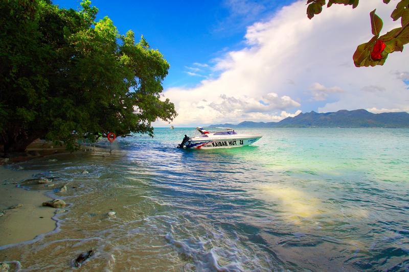 post-228573-0-88862400-1447157195_thumb.