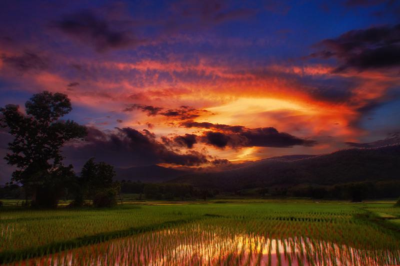 post-228573-0-99581200-1447300957_thumb.