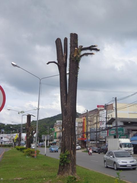 post-229125-0-15198000-1447993411_thumb.
