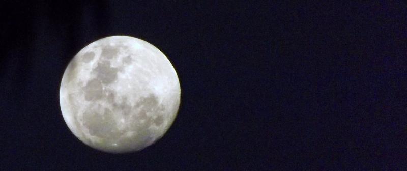 post-231841-0-15656100-1448372786_thumb.