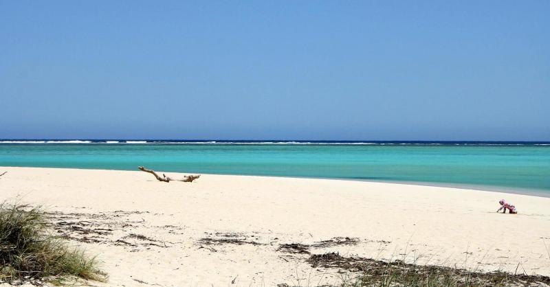 post-231841-0-26954500-1446860577_thumb.