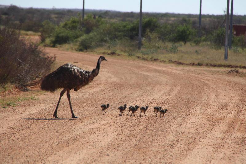 post-231841-0-26961800-1446860749_thumb.