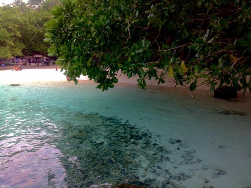 post-231841-0-31696900-1446895757_thumb.