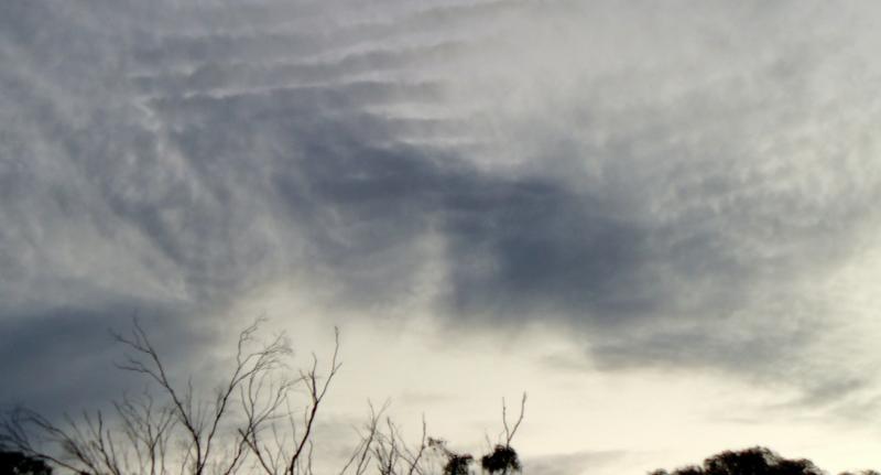 post-231841-0-43602100-1446899665_thumb.