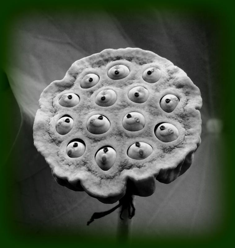 post-231841-0-44315100-1447299008_thumb.