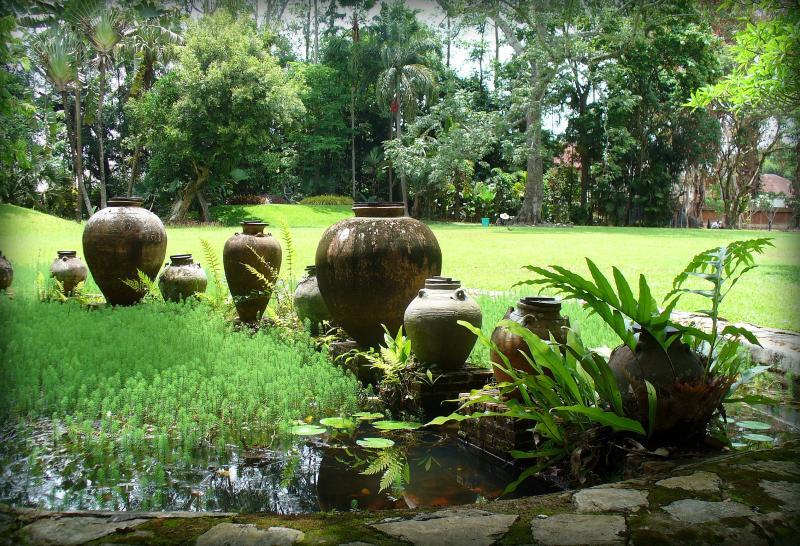 post-231841-0-44666800-1447293543_thumb.