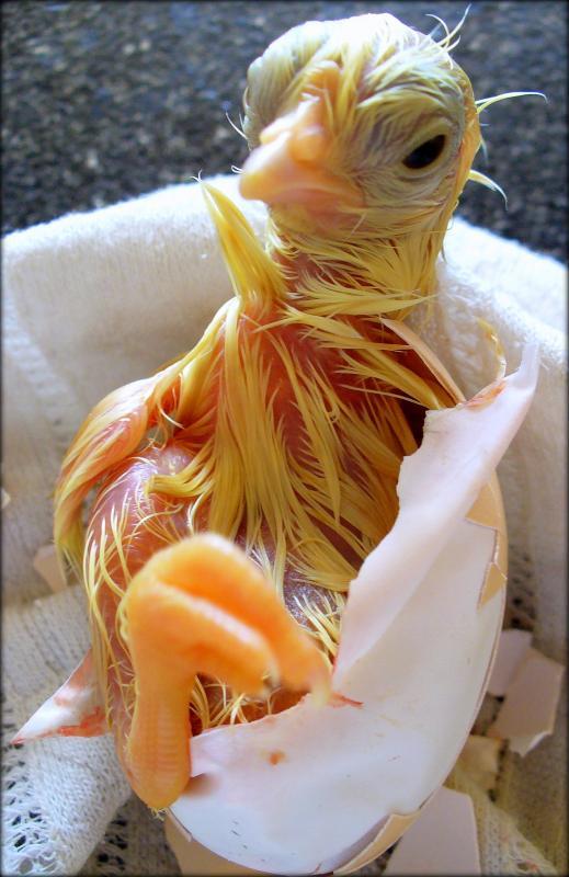 post-231841-0-69950100-1448199888_thumb.