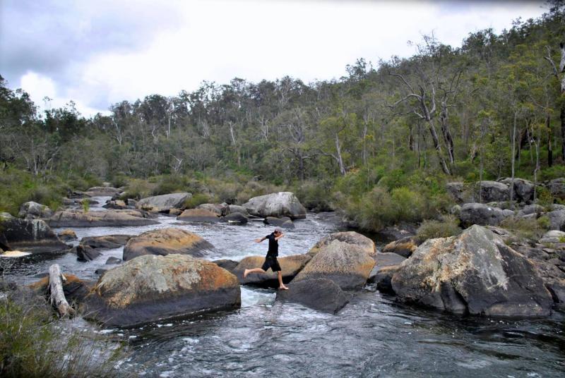 post-231841-0-88015600-1446817803_thumb.