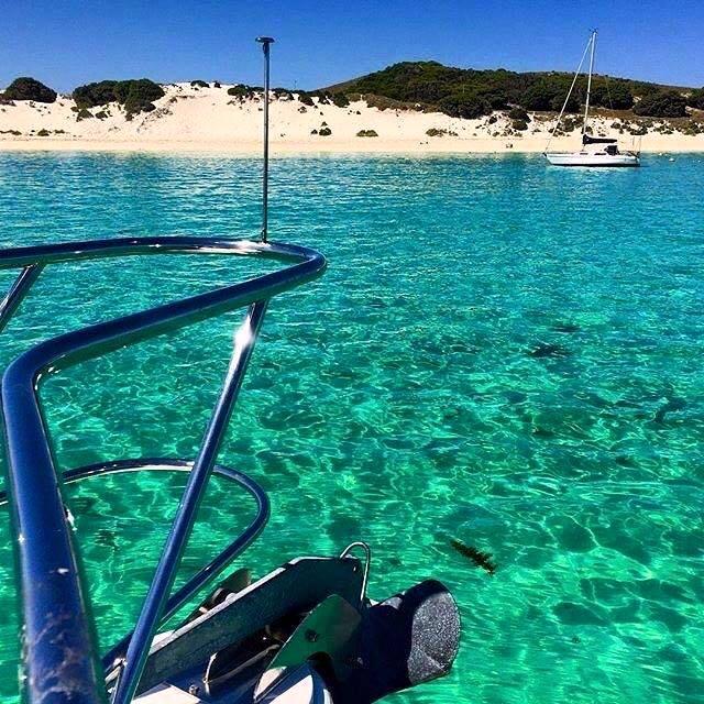 post-231841-0-89066000-1448628020_thumb.