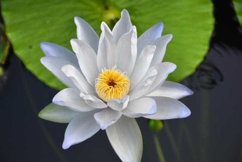 post-237730-0-00372500-1446979428_thumb.