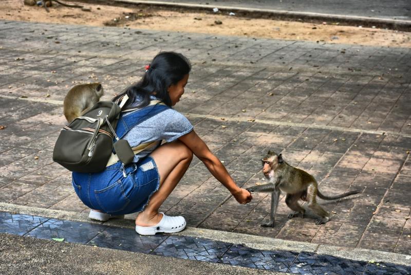 post-237730-0-00448000-1446783066_thumb.