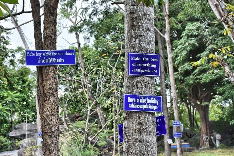 post-237730-0-01153800-1447757085_thumb.