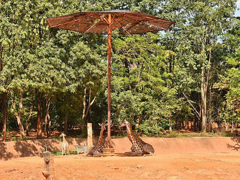 post-237730-0-01992200-1448078646_thumb.