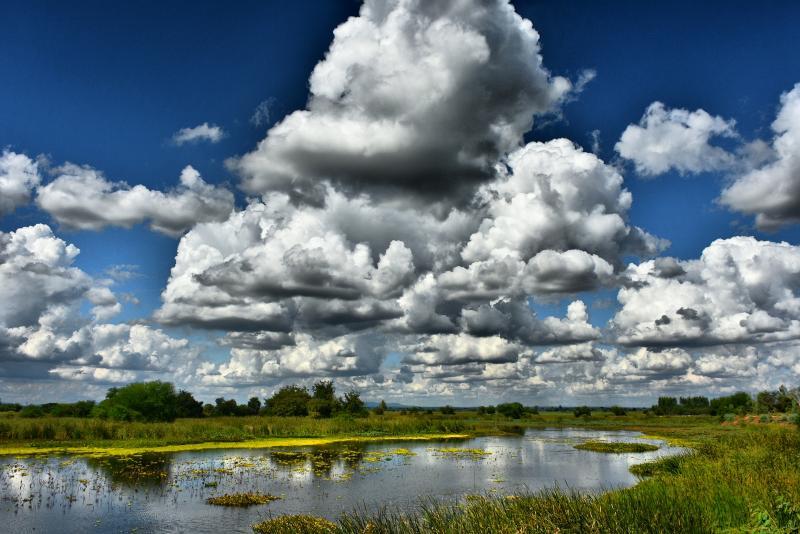 post-237730-0-06800000-1447117981_thumb.