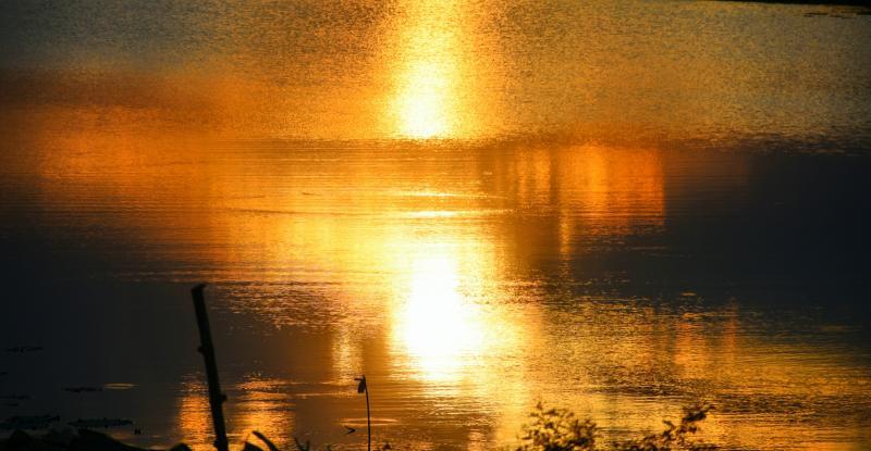 post-237730-0-09347800-1447205899_thumb.