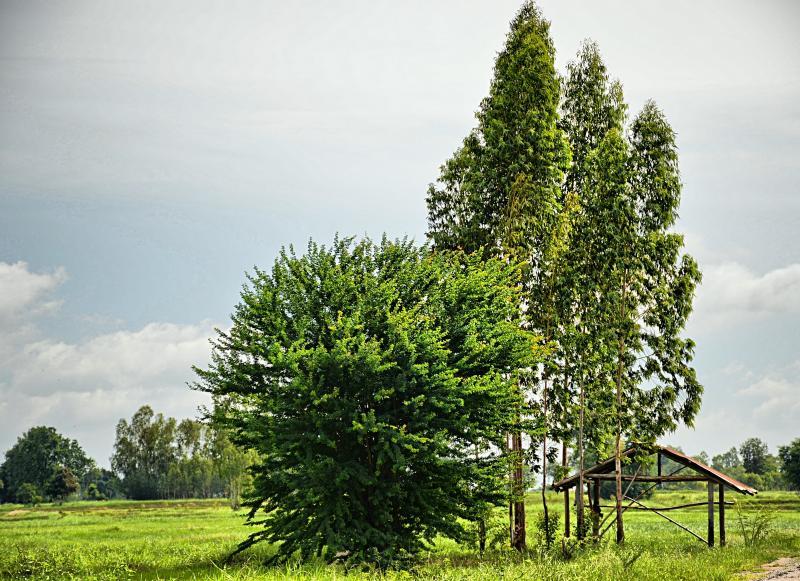 post-237730-0-09653900-1448080386_thumb.