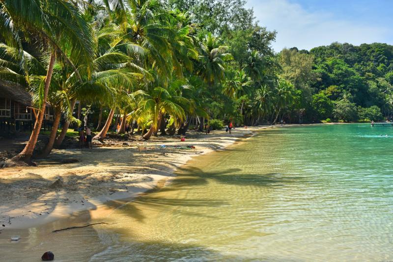 post-237730-0-09691800-1446619518_thumb.