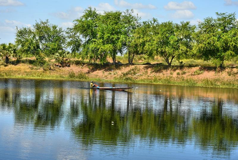 post-237730-0-09917800-1448414995_thumb.