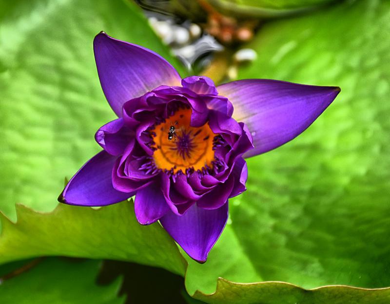 post-237730-0-13748100-1448699003_thumb.