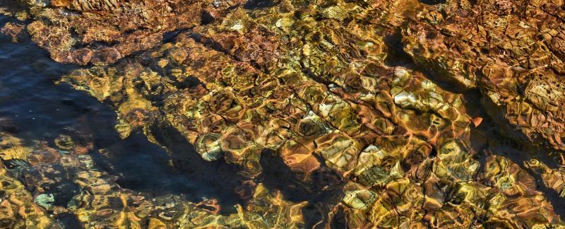 post-237730-0-14902600-1447048983_thumb.