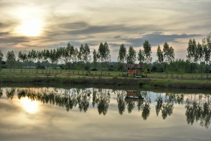 post-237730-0-15111700-1448849653_thumb.