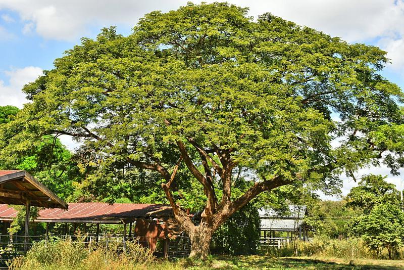 post-237730-0-18024400-1448345938_thumb.