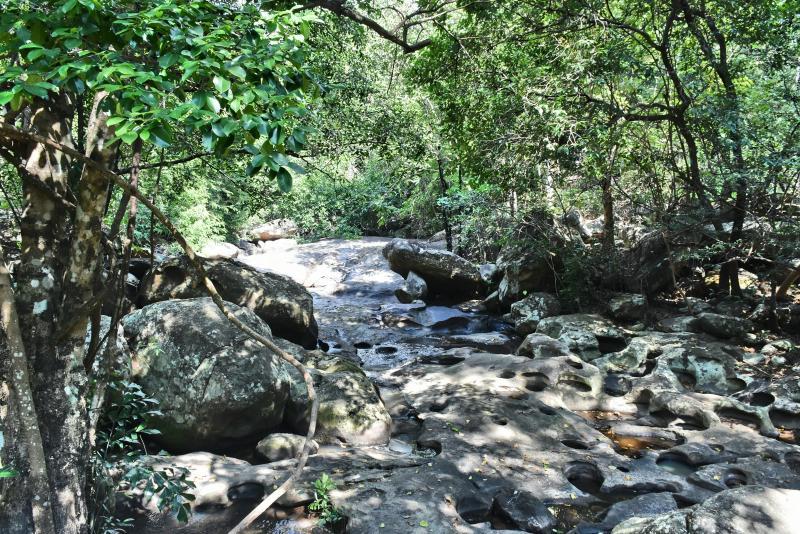 post-237730-0-18624000-1447808415_thumb.