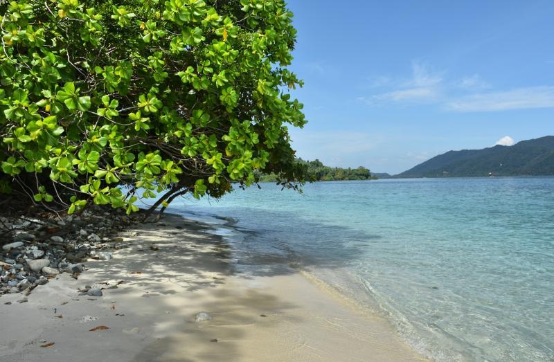 post-237730-0-19638100-1447117125_thumb.