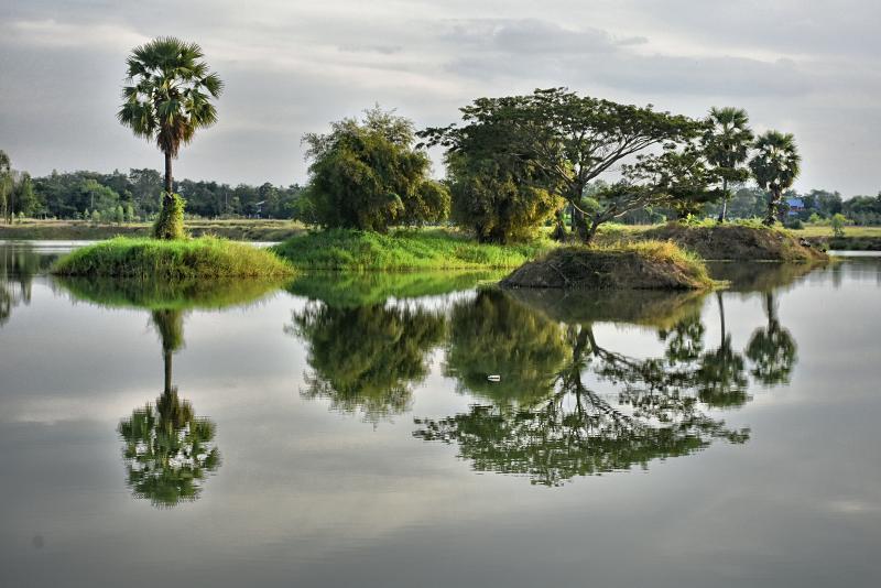 post-237730-0-20008200-1448771126_thumb.