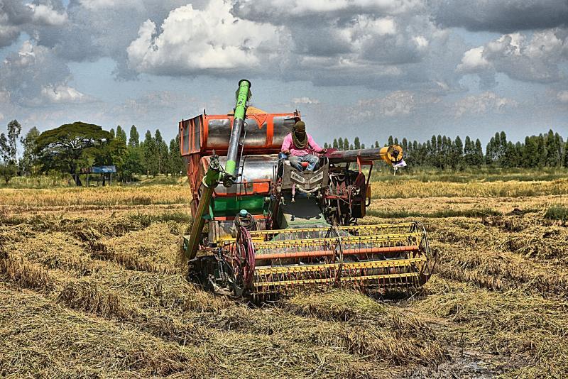 post-237730-0-24045600-1448073536_thumb.