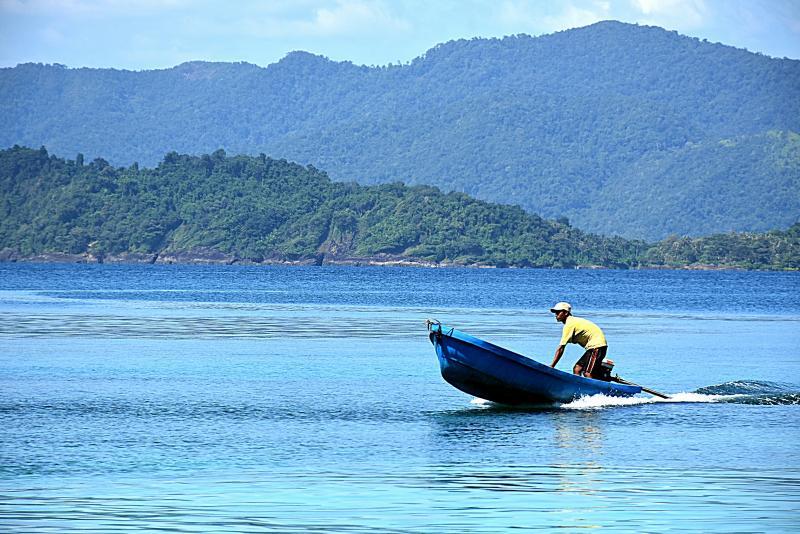 post-237730-0-24753500-1448076002_thumb.