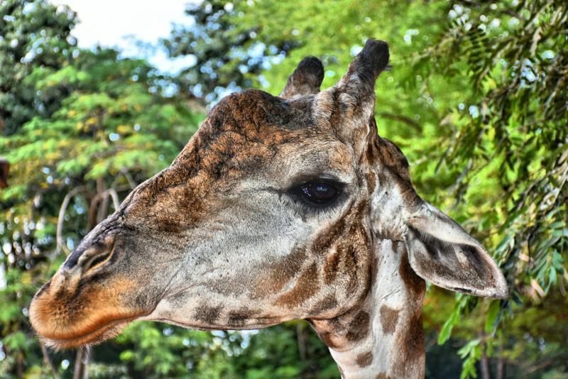 post-237730-0-25650300-1447904157_thumb.