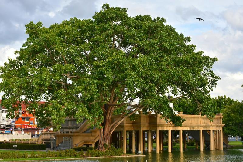 post-237730-0-26162000-1447476181_thumb.