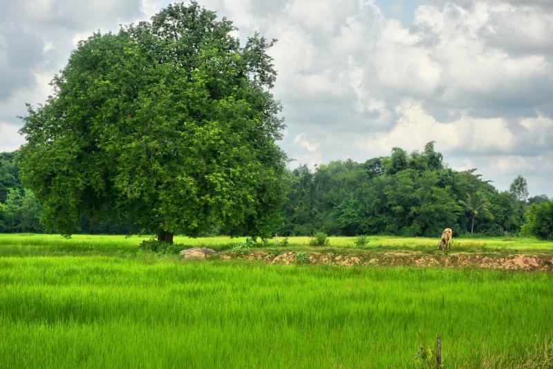 post-237730-0-26769600-1447388001_thumb.