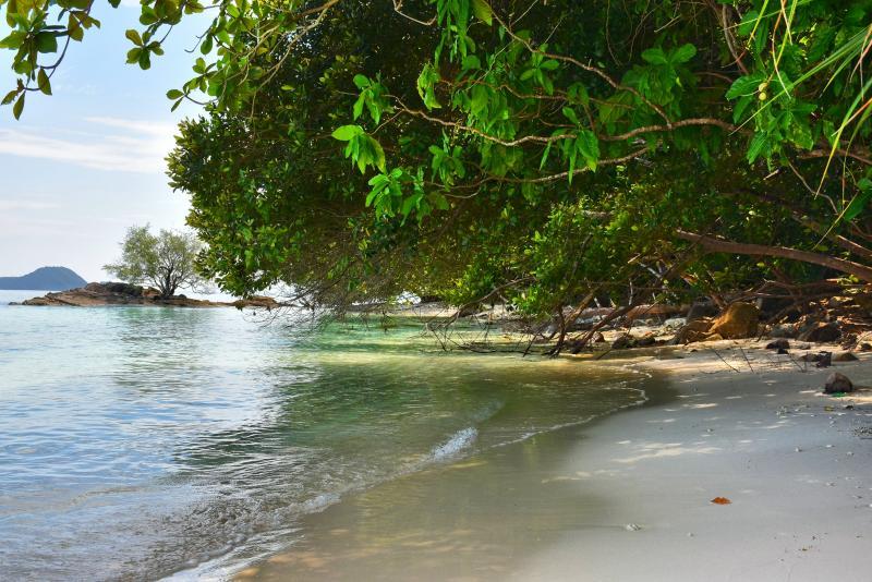 post-237730-0-29986000-1447117155_thumb.