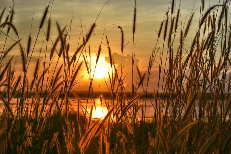 post-237730-0-30146000-1447421543_thumb.