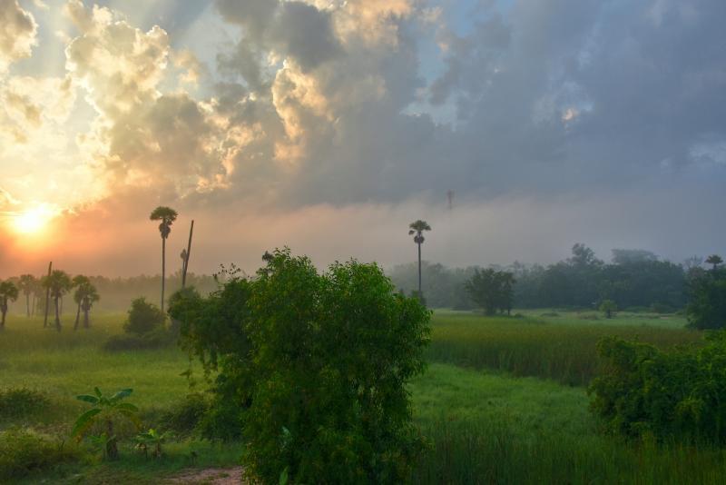 post-237730-0-30364300-1447378109_thumb.