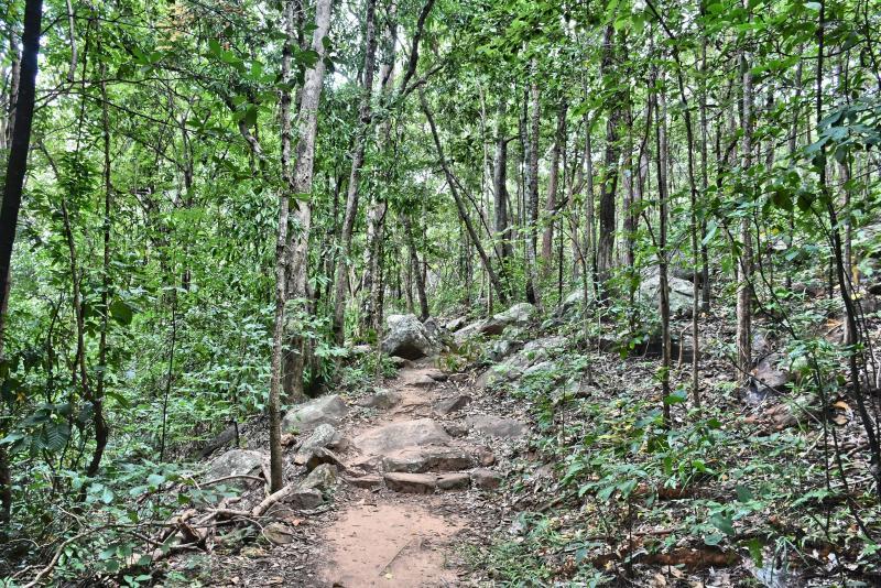 post-237730-0-32677100-1447808380_thumb.